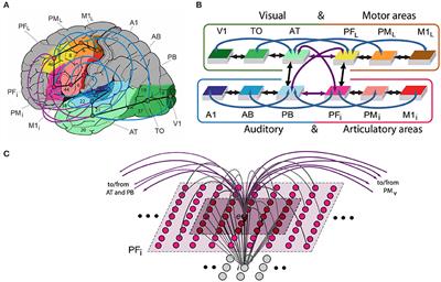 A Neurobiologically Constrained Cortex Model of Semantic Grounding With Spiking Neurons and Brain-Like Connectivity